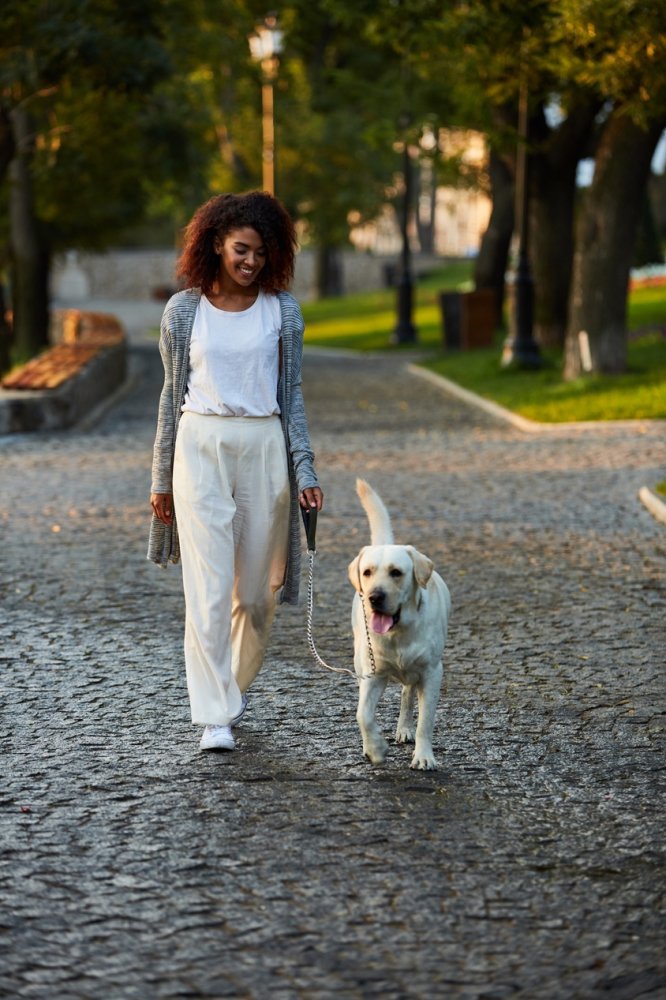 Dog-Friendly Downtown Walk